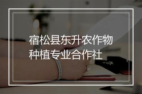 宿松县东升农作物种植专业合作社