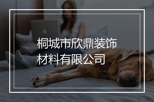桐城市欣鼎装饰材料有限公司