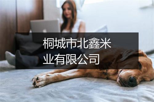 桐城市北鑫米业有限公司