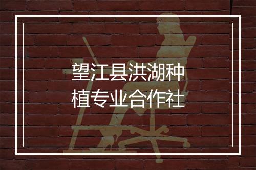 望江县洪湖种植专业合作社