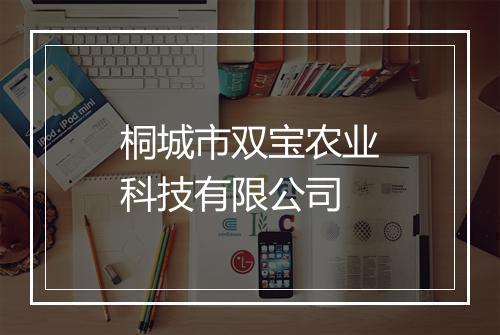 桐城市双宝农业科技有限公司