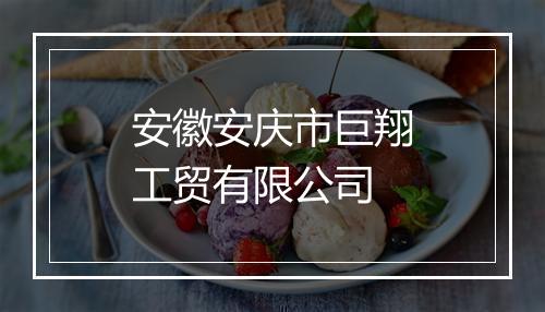 安徽安庆市巨翔工贸有限公司