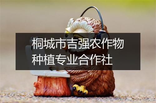 桐城市吉强农作物种植专业合作社