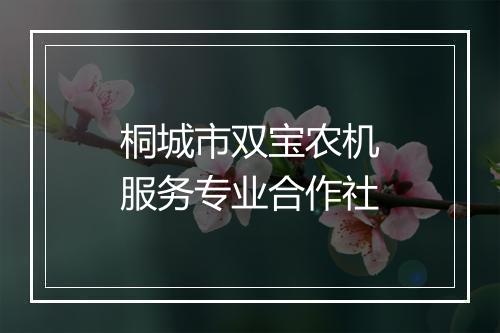 桐城市双宝农机服务专业合作社