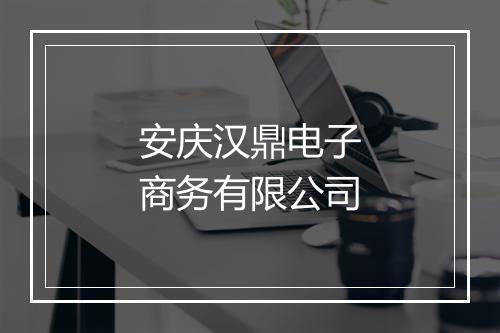 安庆汉鼎电子商务有限公司