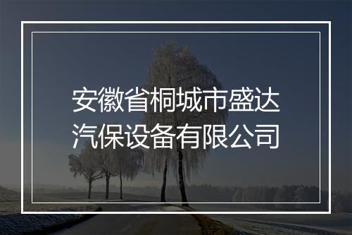 安徽省桐城市盛达汽保设备有限公司
