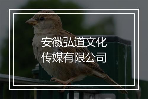安徽弘道文化传媒有限公司