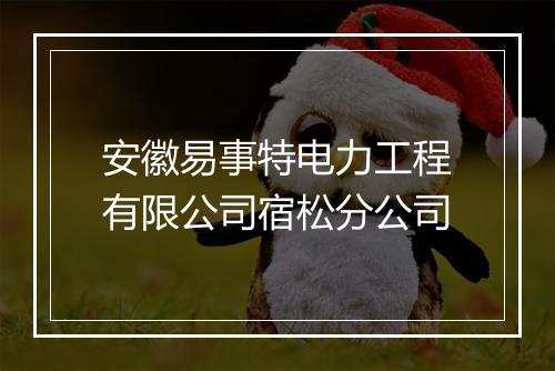 安徽易事特电力工程有限公司宿松分公司