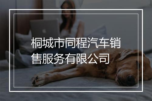 桐城市同程汽车销售服务有限公司