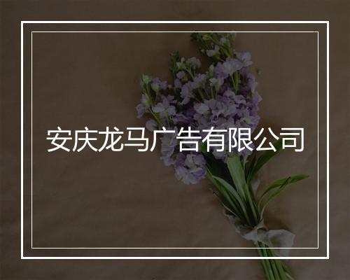 安庆龙马广告有限公司
