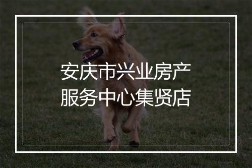 安庆市兴业房产服务中心集贤店