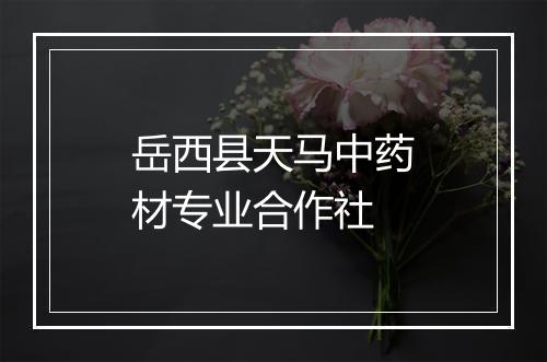 岳西县天马中药材专业合作社