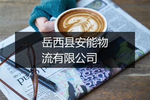 岳西县安能物流有限公司