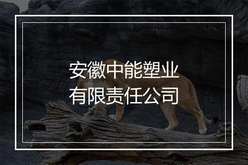 安徽中能塑业有限责任公司
