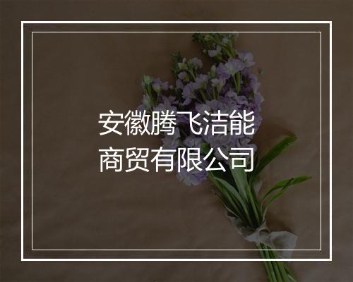 安徽腾飞洁能商贸有限公司