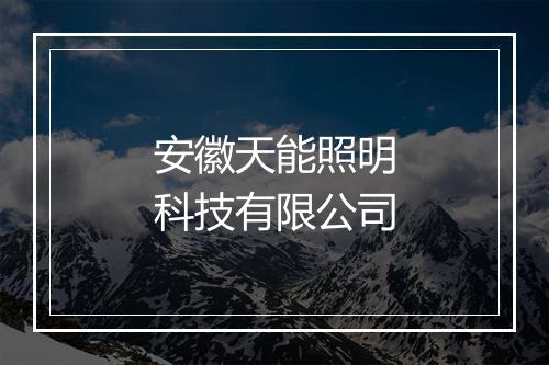 安徽天能照明科技有限公司
