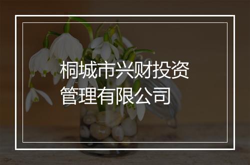 桐城市兴财投资管理有限公司
