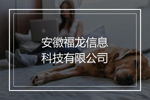 安徽福龙信息科技有限公司