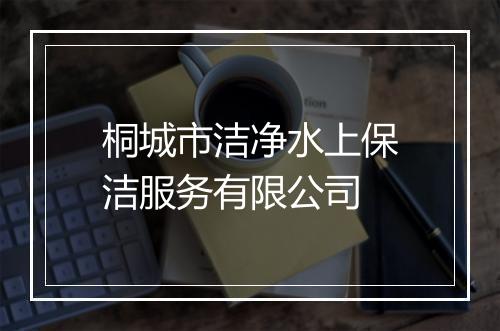 桐城市洁净水上保洁服务有限公司