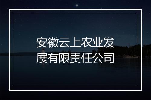 安徽云上农业发展有限责任公司