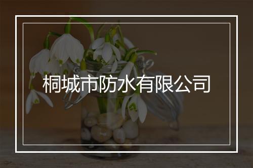 桐城市防水有限公司