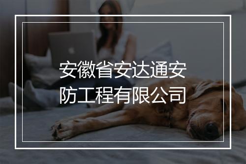 安徽省安达通安防工程有限公司