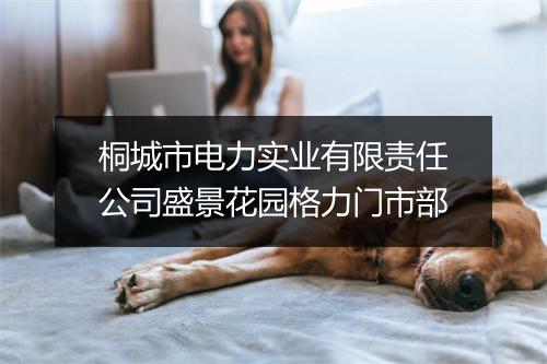 桐城市电力实业有限责任公司盛景花园格力门市部