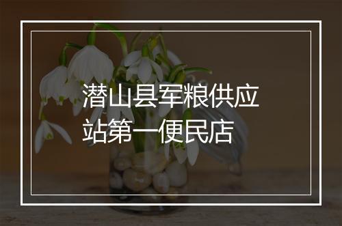 潜山县军粮供应站第一便民店