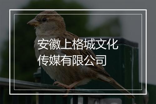 安徽上格城文化传媒有限公司