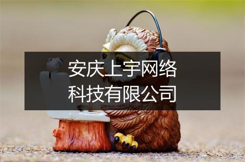 安庆上宇网络科技有限公司