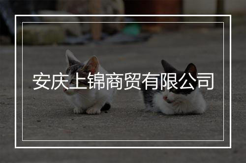 安庆上锦商贸有限公司