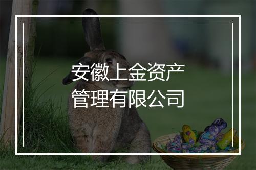 安徽上金资产管理有限公司