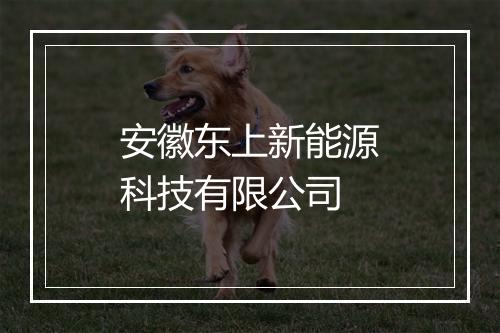 安徽东上新能源科技有限公司