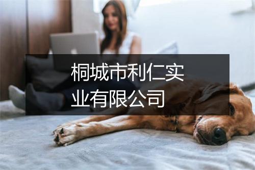 桐城市利仁实业有限公司