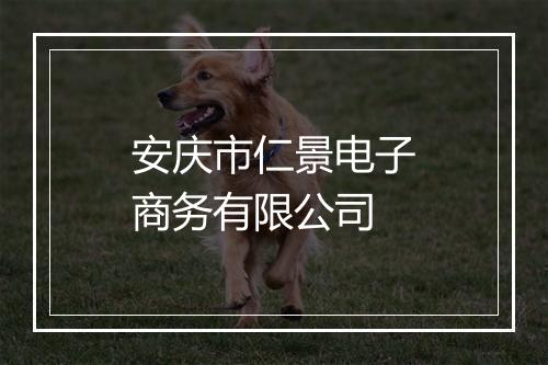安庆市仁景电子商务有限公司