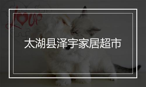太湖县泽宇家居超市