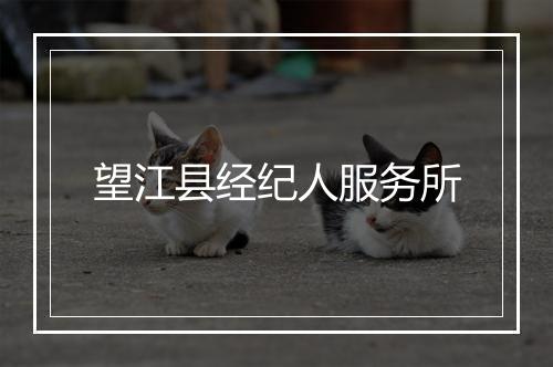 望江县经纪人服务所