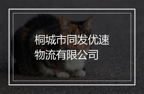 桐城市同发优速物流有限公司