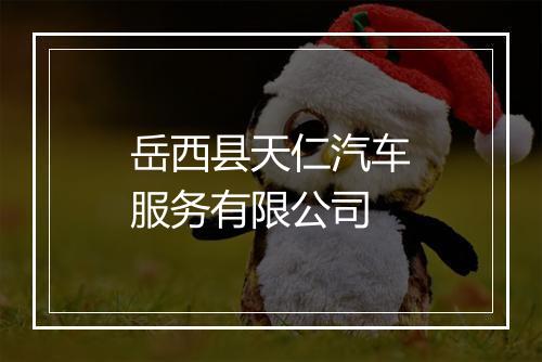 岳西县天仁汽车服务有限公司