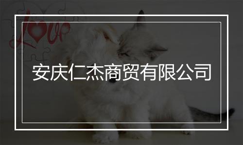 安庆仁杰商贸有限公司
