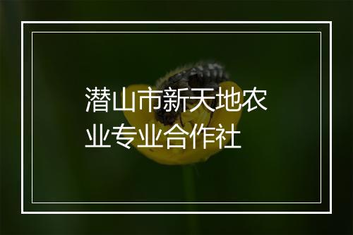 潜山市新天地农业专业合作社