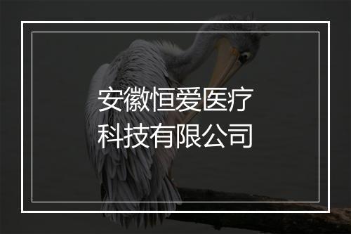 安徽恒爱医疗科技有限公司