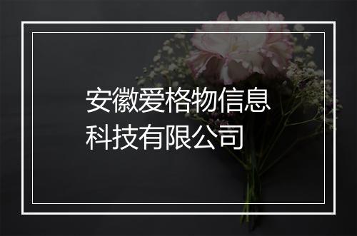 安徽爱格物信息科技有限公司
