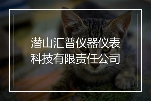 潜山汇普仪器仪表科技有限责任公司