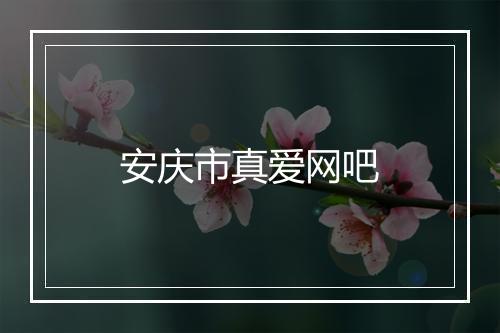 安庆市真爱网吧