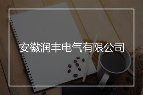 安徽润丰电气有限公司