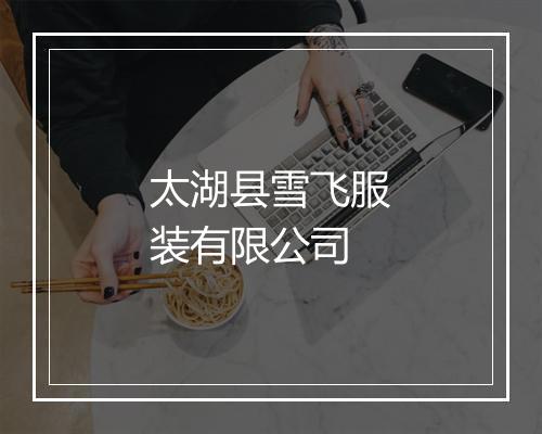太湖县雪飞服装有限公司