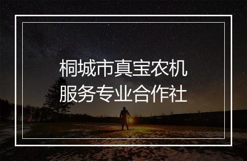 桐城市真宝农机服务专业合作社