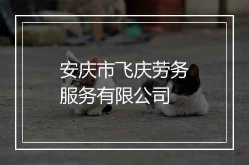安庆市飞庆劳务服务有限公司