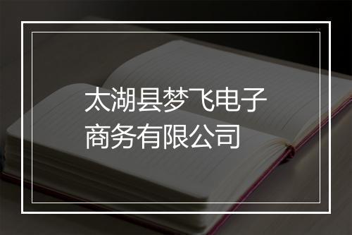 太湖县梦飞电子商务有限公司